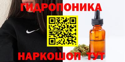 амф Партизанск