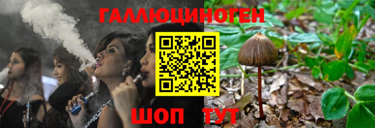 Псилоцибиновые грибы MAGIC MUSHROOMS  Вход с VPN  Пугачёв 
